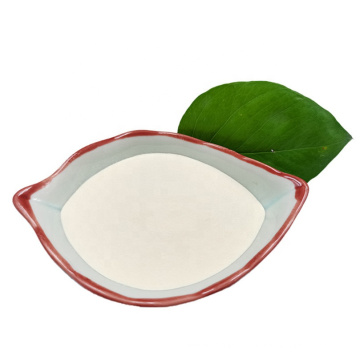 Hot Sale OEM HACCP ISO22000 probiotics Lactobacillus paracasei Powder